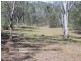 Cedar Creek QLD 4207