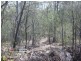 Cedar Creek QLD 4207