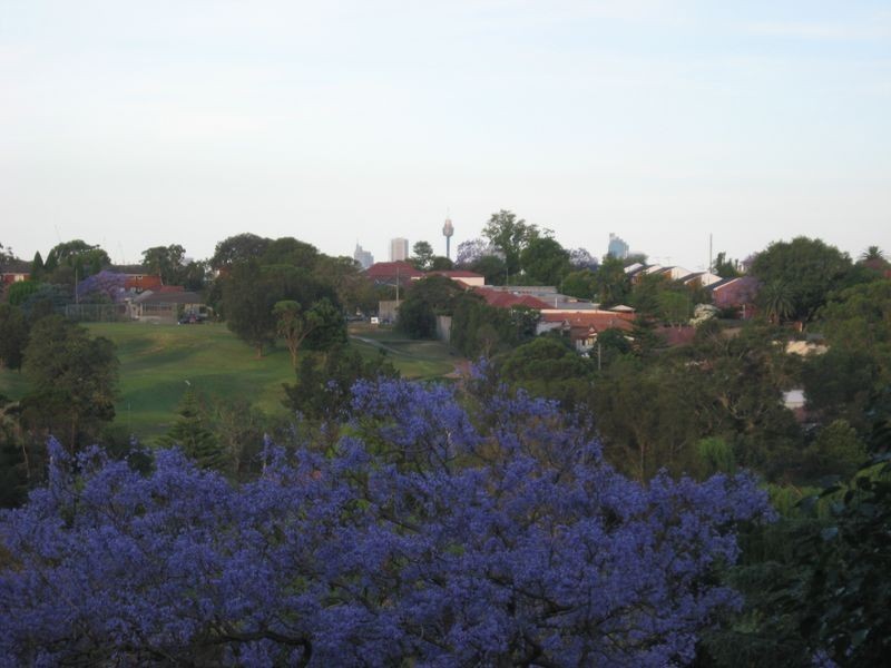 83 Homer Street, Earlwood NSW 2206