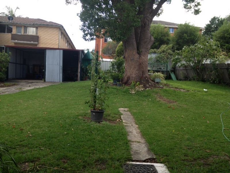 57 McCourt Street, Wiley Park NSW 2195