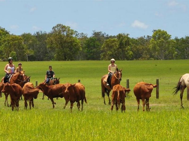 Susan River QLD 4655