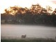 Susan River QLD 4655