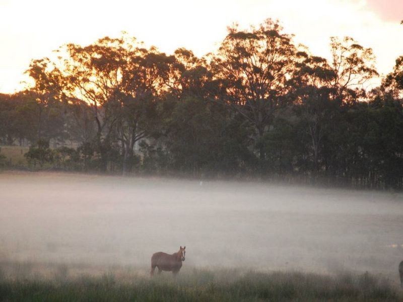 Susan River QLD 4655