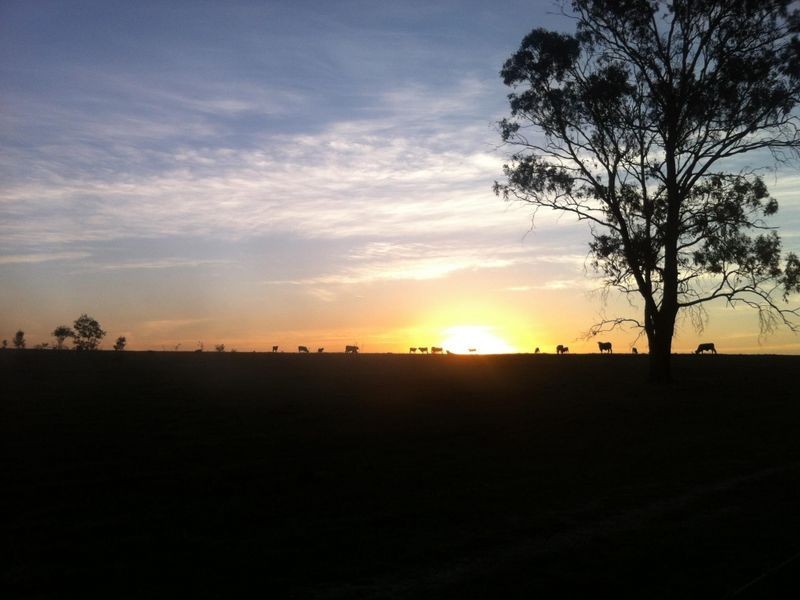 Susan River QLD 4655