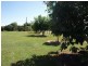 Elimbah QLD 4516