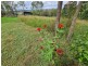 46 Coomba Waterhole Road, Maidenwell QLD 4615