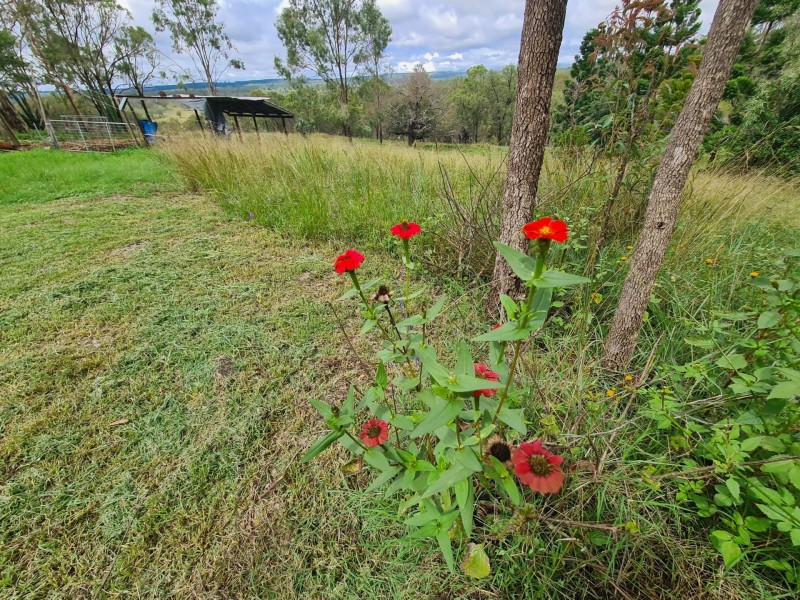 46 Coomba Waterhole Road, Maidenwell QLD 4615