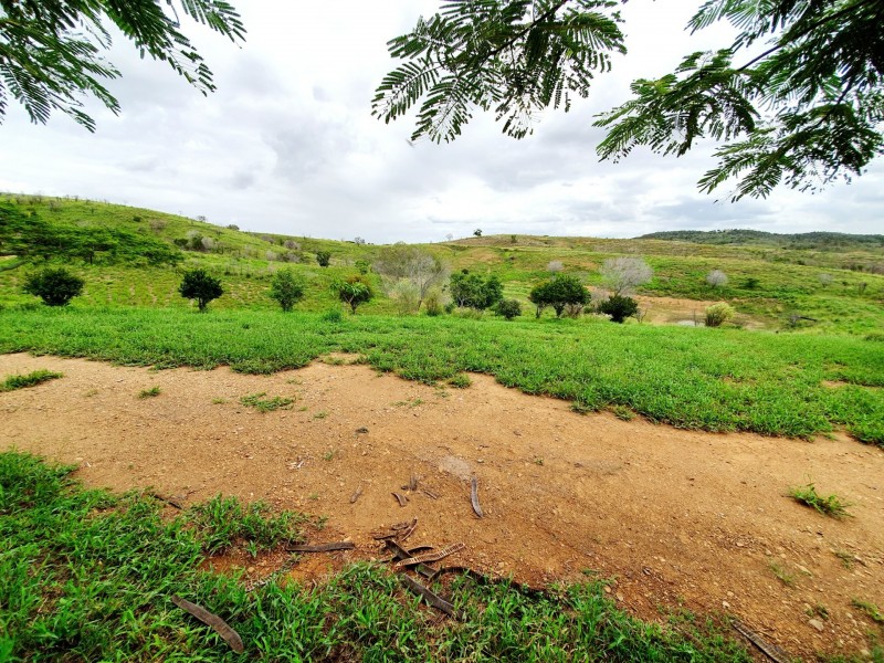 18 Vaughan Road, Darts Creek QLD 4695