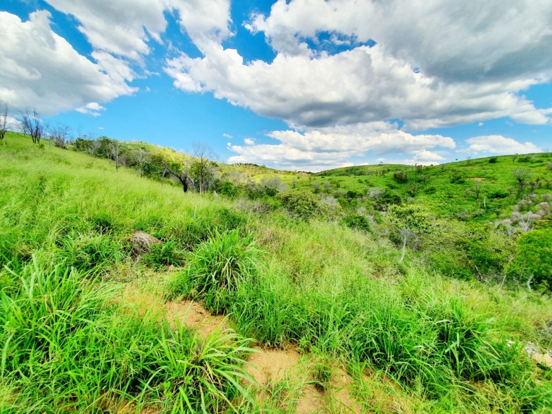 18 Vaughan Road, Darts Creek QLD 4695