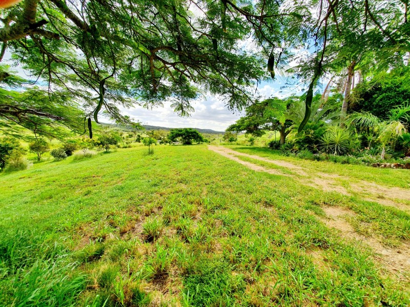 18 Vaughan Road, Darts Creek QLD 4695