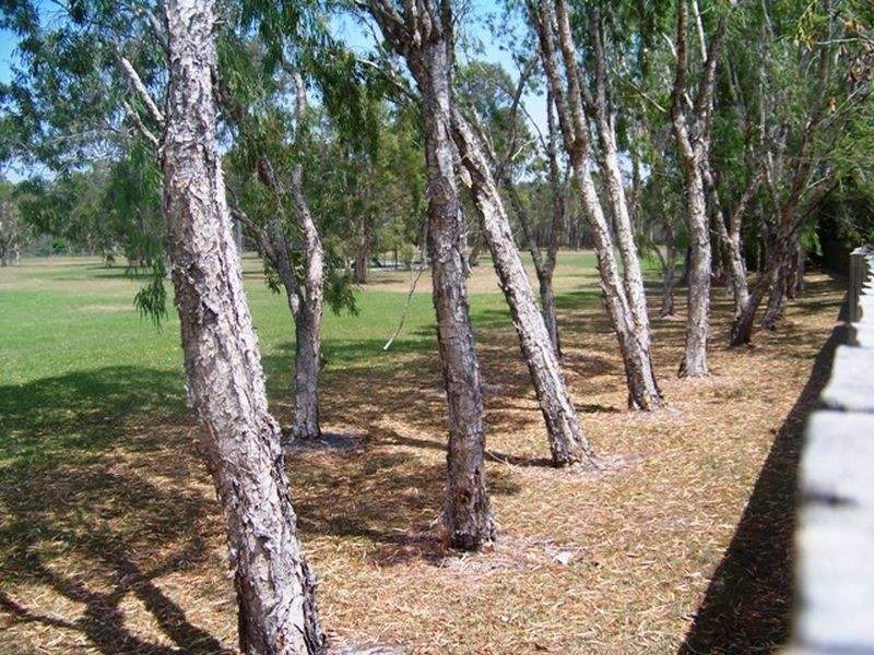 46B Alexander Crescent, Morayfield QLD 4506