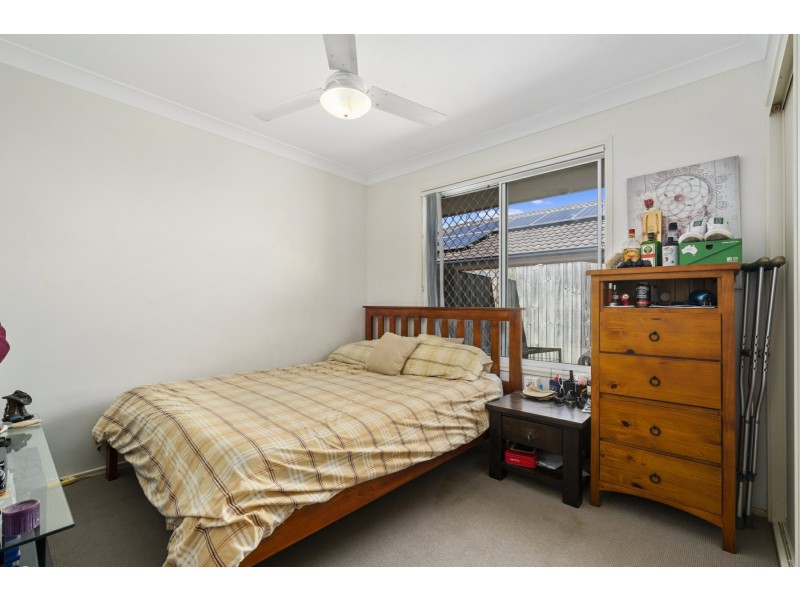 12 Treefrog Street, Ningi QLD 4511