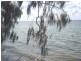 Boonooroo QLD 4650