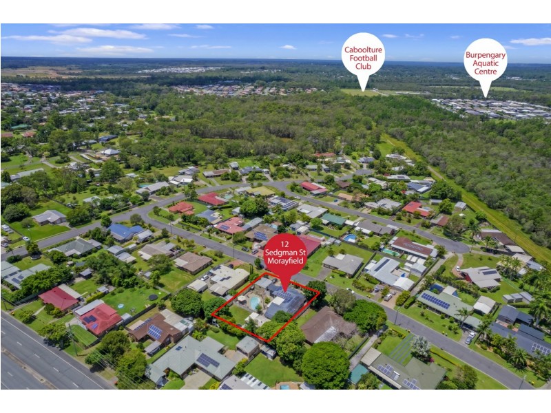 12 Sedgman Street, Morayfield QLD 4506