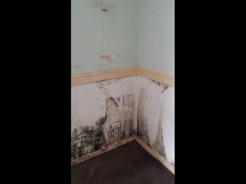 12 Ashburton Court, Caboolture QLD 4510