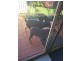 58a Pauls Road, Upper Caboolture QLD 4510