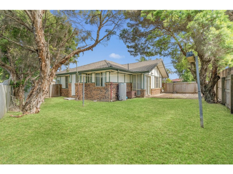 53 Pardalote Place, Bellmere QLD 4510