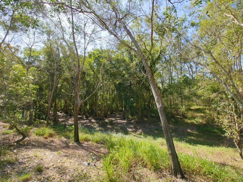 36 Gladioli Court, Caboolture QLD 4510