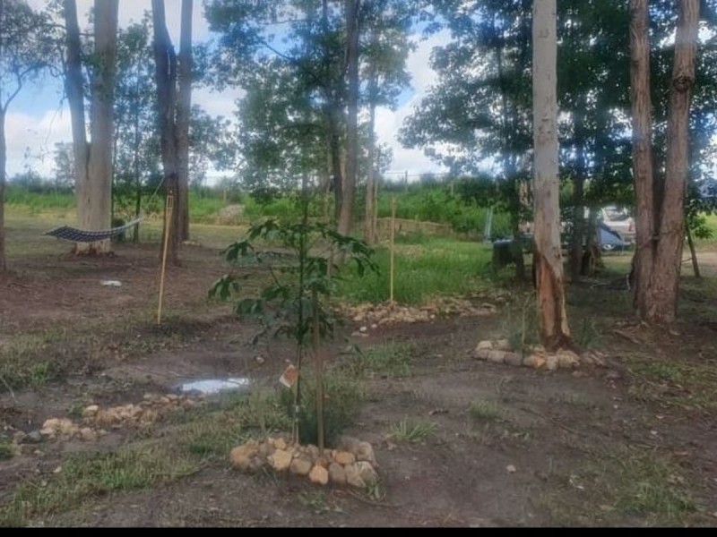 14 Arenga Court, Caboolture QLD 4510