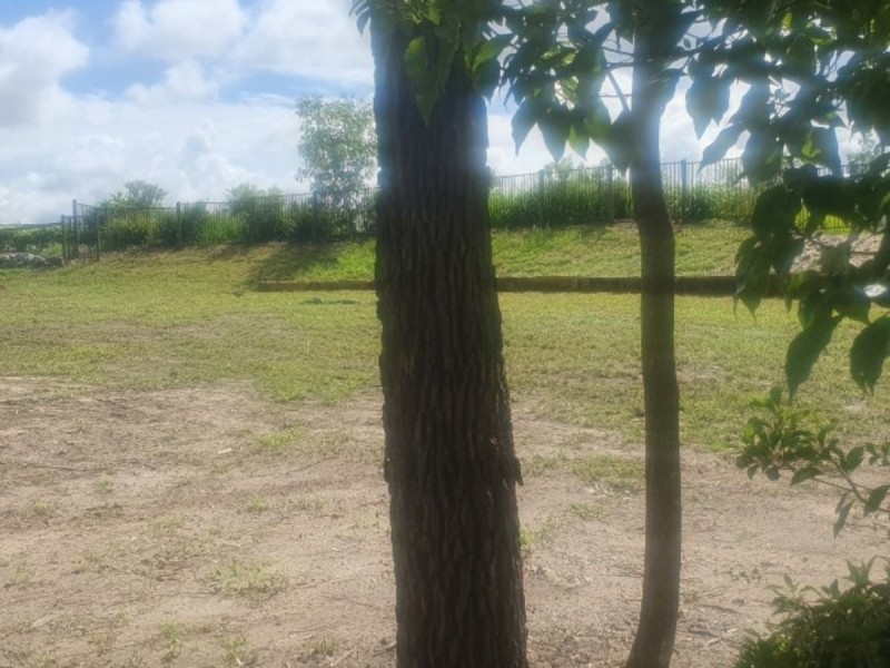 14 Arenga Court, Caboolture QLD 4510