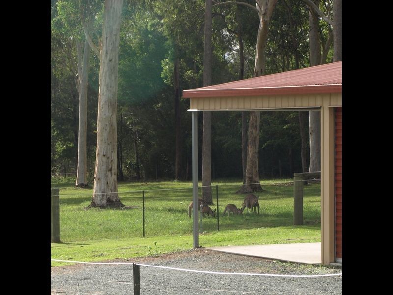 77 Boden Road, Wamuran QLD 4512