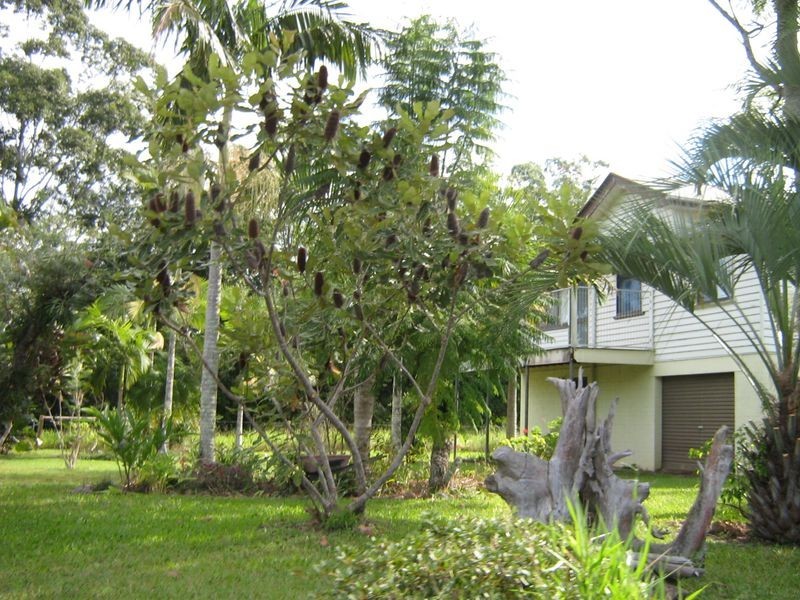 749 D’Aguilar Highway, Wamuran QLD 4512