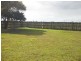 Burpengary QLD 4505