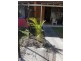Unit 3/34 Mortimer Street, Caboolture QLD 4510