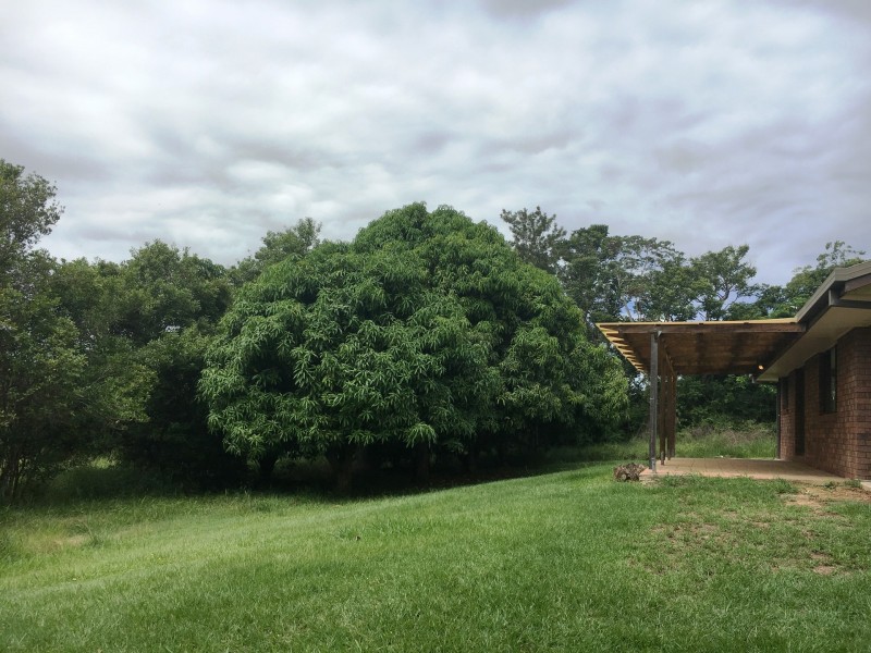 943 D’Aguilar Highway, Wamuran QLD 4512