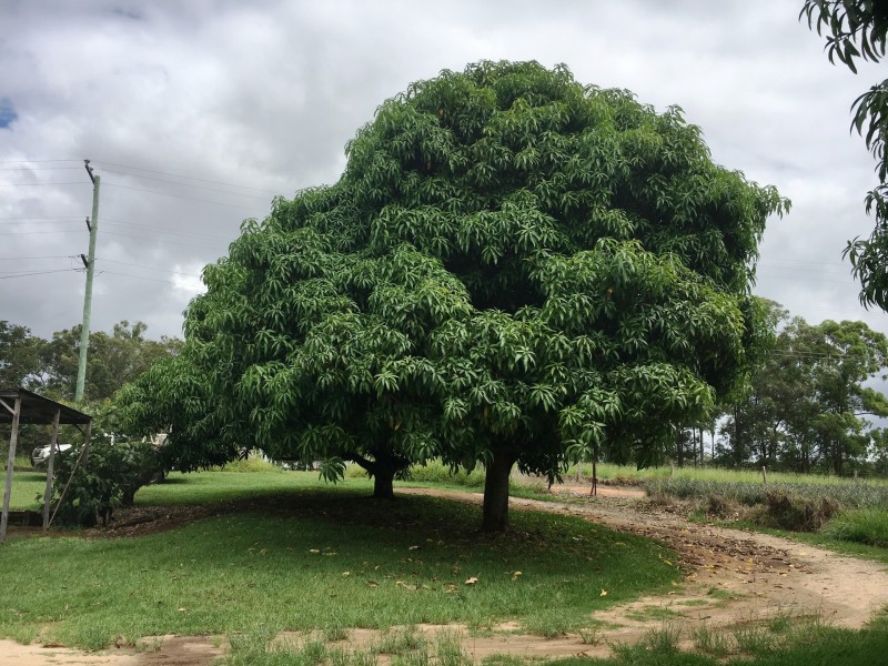 943 D’Aguilar Highway, Wamuran QLD 4512