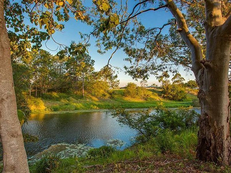13 Moloney Place, Bellmere QLD 4510