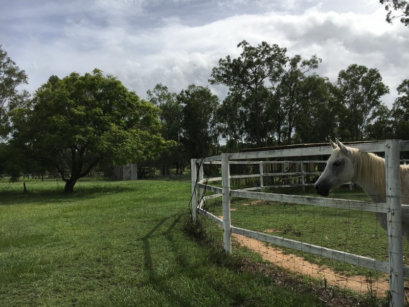 Upper Caboolture QLD 4510