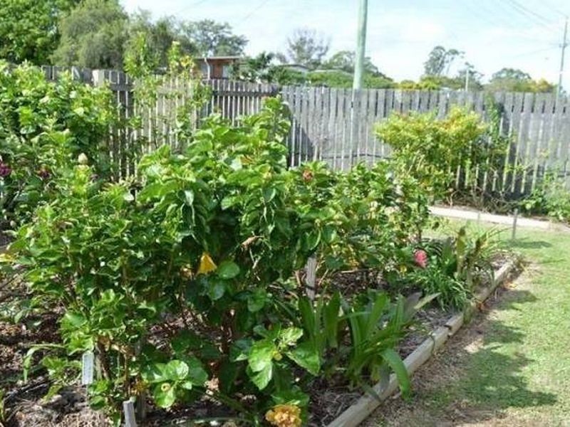 60 Domnick Street, Caboolture South QLD 4510