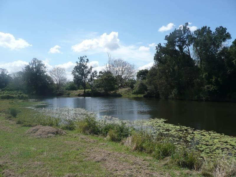 3 Ebb Street, Bellmere QLD 4510