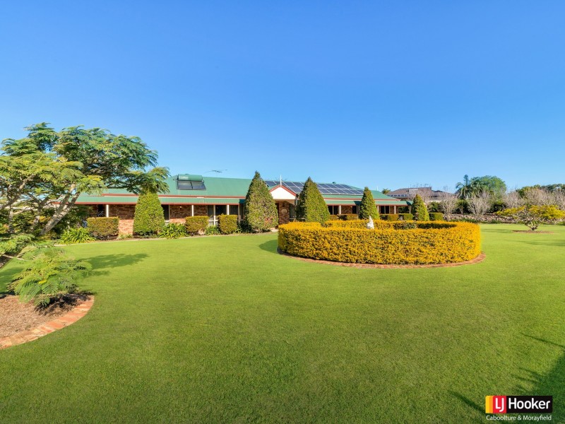 Elimbah QLD 4516