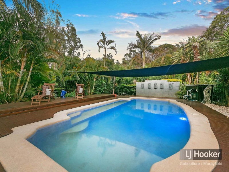 73-77 Riflebird Drive, Upper Caboolture QLD 4510