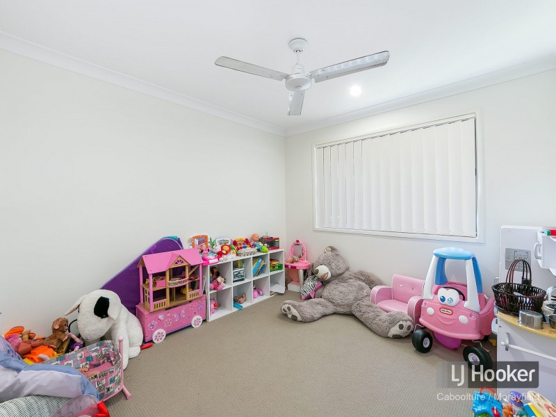 17 Lomandra Drive, Morayfield QLD 4506