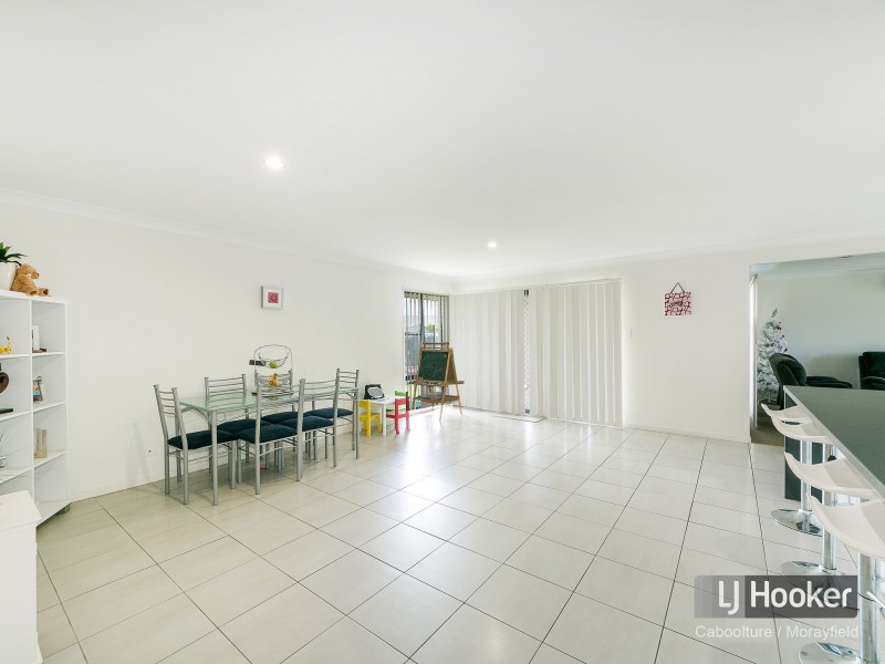 17 Lomandra Drive, Morayfield QLD 4506