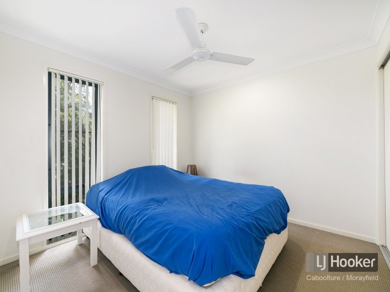 17 Lomandra Drive, Morayfield QLD 4506