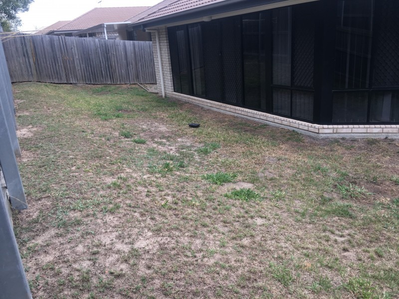 26 Hipwood Street, Morayfield QLD 4506