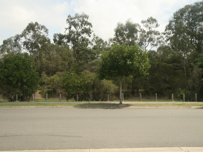 18 Dicarlo Drive, Morayfield QLD 4506