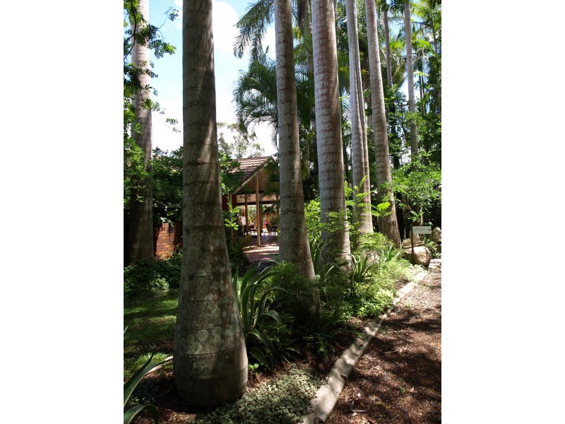 699 Caboolture River Road, Upper Caboolture QLD 4510