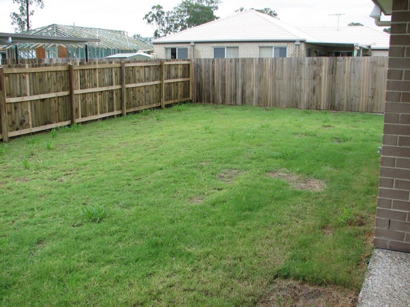 57 Daintree Street, Bellmere QLD 4510