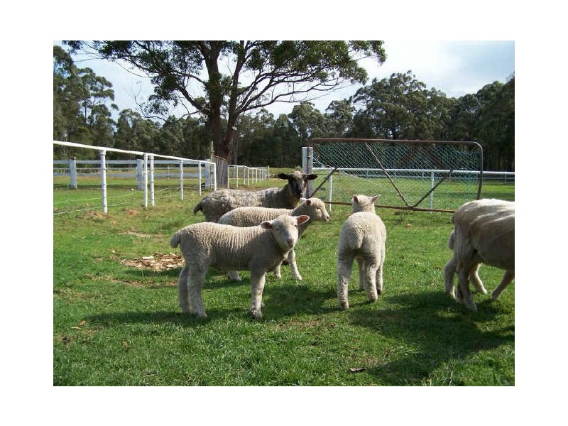 Falls Creek NSW 2540