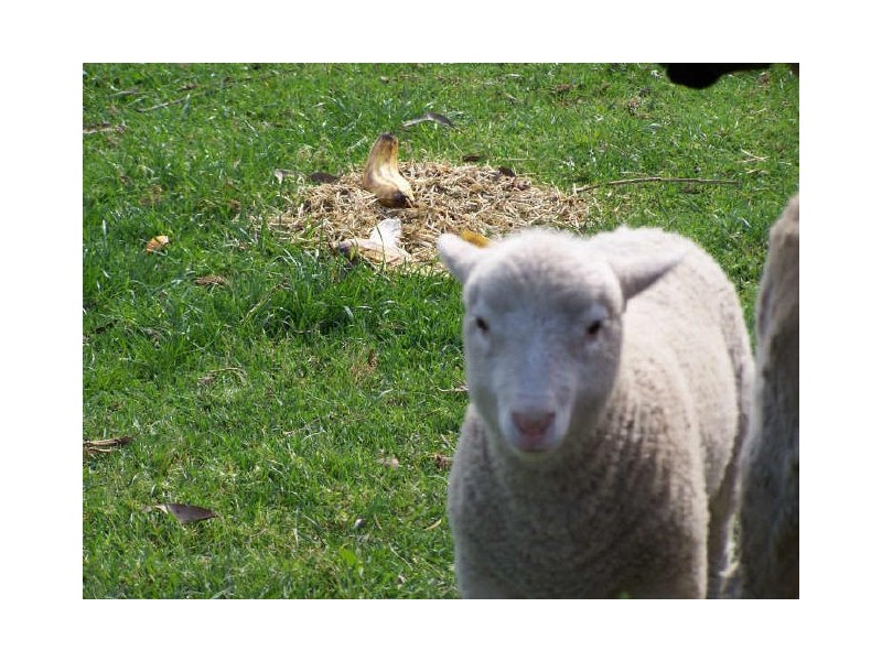 Falls Creek NSW 2540