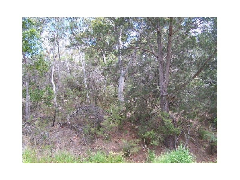 79 Frederick Street, Vincentia NSW 2540