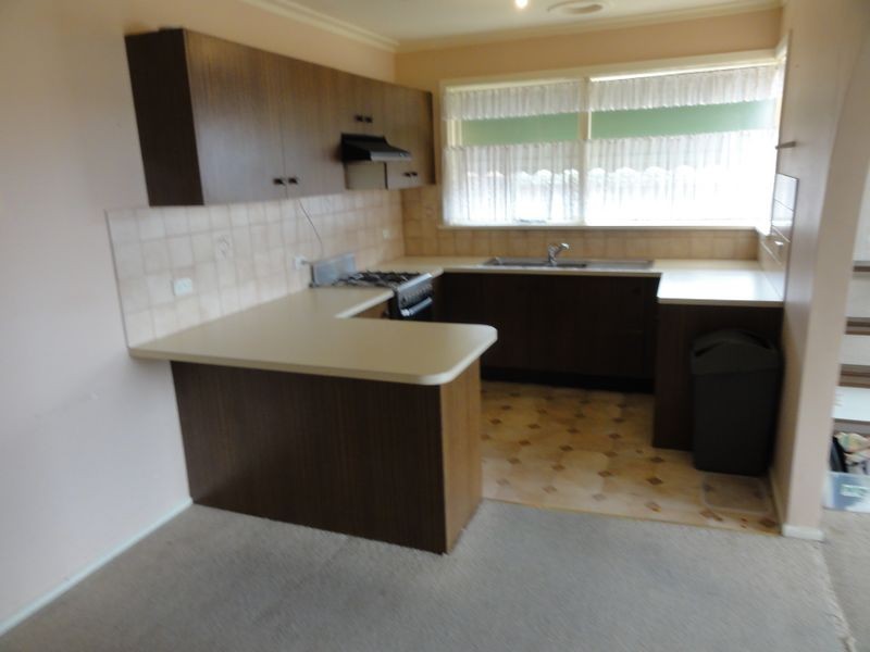 38 Colac Grove, Belmont VIC 3216