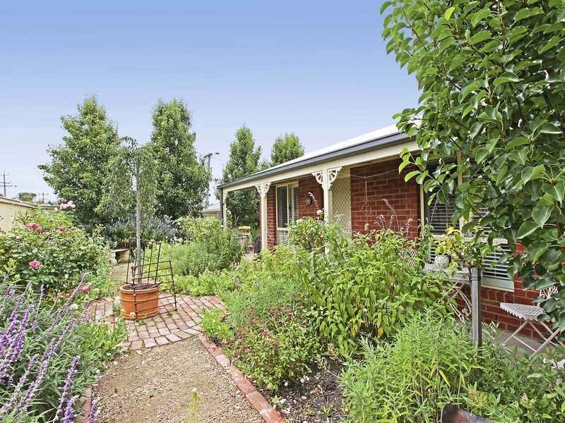 19 Bailey Street, Belmont VIC 3216