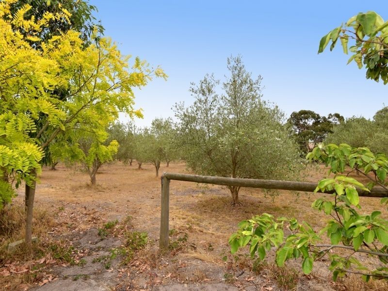 82-90 Swan Bay Road, Wallington VIC 3221