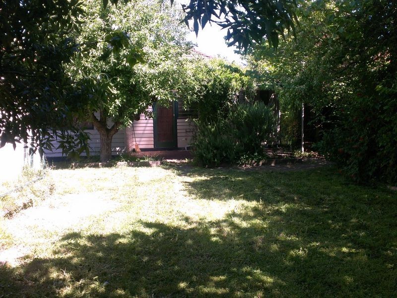 17 Rugby Street, Belmont VIC 3216